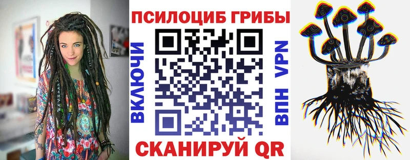 Галлюциногенные грибы мицелий  Одинцово 